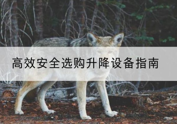 南山升降货梯厂家推荐-*安全选购升降设备指南