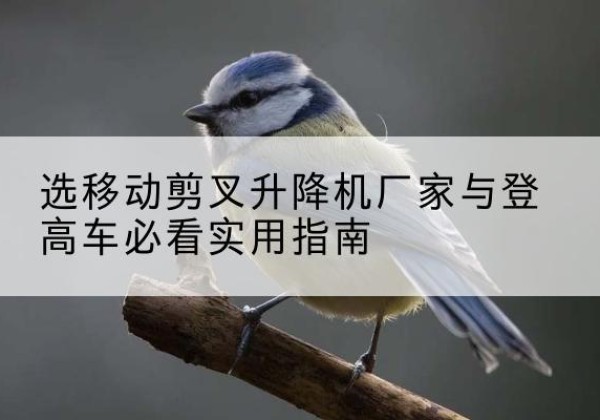 南山电动升降机厂家-选移动剪叉升降机厂家与登高车必看实用指南